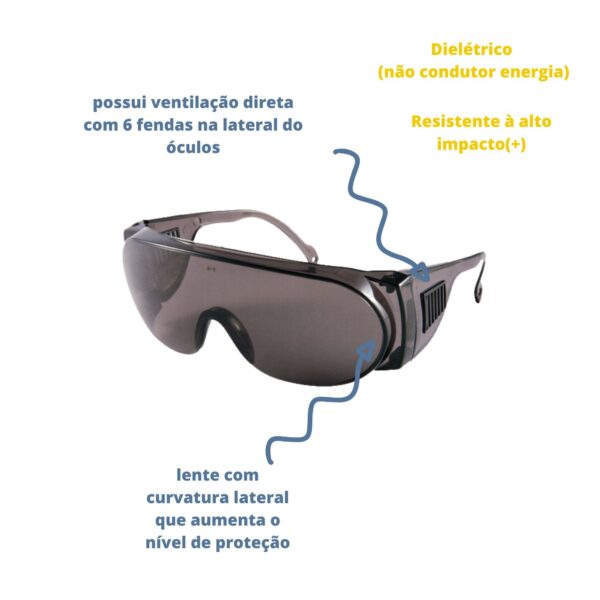 ÓCULOS DE PROTEÇÃO MODELO PANDA FUME - Imagem 2